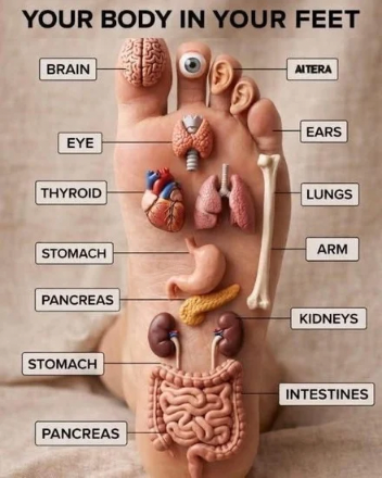 your body in your feet